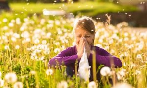 allergies saisonnières kiroclinique